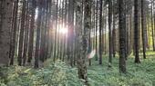 Tangaj Production începe filmările scurtmetrajului „Pânda”, regizat de Radu Muntean, parte din proiectul de (…)