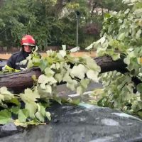 La Timișoara, un copil a fost rănit de un acoperiș smuls de furtună | VIDEO