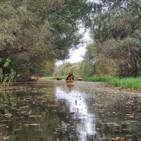 Delta Dunării, toamna. „Toamna este a pescarilor, a iubitorilor de natură. Este încă verde, frumos. Am mai adăugat (…)