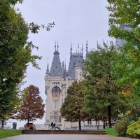Craniul unui mamut vechi de aproximativ 350.000 de ani va fi expus la Palatul Culturii din Iași | AUDIO