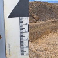 Idolul din Arcuș. Ce reprezintă figurina feminină de lut veche de peste 7.500 de ani, descoperită în timpul unor&nbsp;(…)