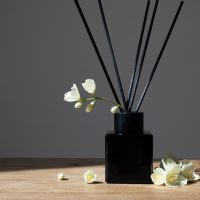 Compania Națională de Investiții a cheltuit peste 66.000 de euro pentru parfumarea sediul central cu uleiuri (…)
