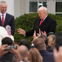 Doi curcani au fost grațiați de Donald Trump de Ziua Recunoștinței. Tradiția oficială a început în 1989, când (…)