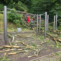 Anchetă la Brașov după ce un bărbat a murit după ce un copac a căzut peste el | Primăria susține că arborele nu (…)