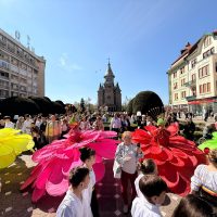 De Florii, străzile Timișoarei s-au umplut de flori și artiști | VIDEO