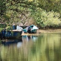 Comisariatul Rezervației Biosferei Delta Dunării se desființează | AUDIO