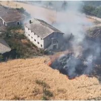 Tulcea: Incendii multiple la culturi de cereale. Există riscul ca flăcările să se extindă spre o fermă și o (…)