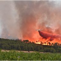 Franța se confruntă cu cel mai mare incendiu de vegetație din ultimii 80 de ani. Flăcările s-au extins până aproape (…)