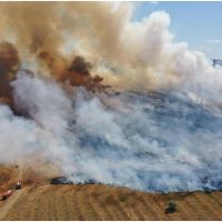 Tulcea: Incendiu de vegetație uscată. Flăcările s-au extins la o fermă. 40 de pompieri acționează pentru stingerea (…)
