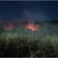 Un incendiu de vegetație uscată izbucnit în Rezervația Naturală Cheile Dobrogei a distrus sute de hectare. (…)