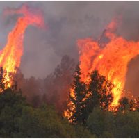 Atenționare de călătorie pentru românii care vor să meargă în Marsilia. Un puternic incendiu de vegetație a izbucnit (…)