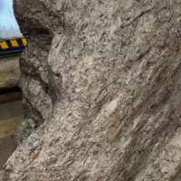 Rusia: Voiau să scoată din țară o bucată de meteorit prezentată drept …ornament de grădină