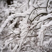 Temperaturi de peste 20 de grade la final de noiembrie în sud-estul țării, după ninsorile care au căzut în mai multe (…)