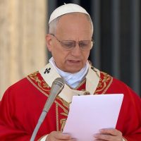 Papa Leon, reacție dură față de liderii lumii care încep războaie, la slujba de Florii de la Vatican | O tânără&nbsp;(…)