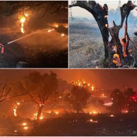 Incendiile forestiere fac ravagii în sudul Europei, unde temperaturile depășesc 40 de grade. 20 de pompieri români (…)