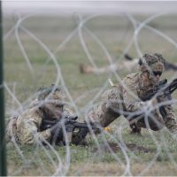 Președinta Comisiei pentru Apărare a Senatului: „Rămânem în continuare un aliat strategic, atât pentru NATO, cât și (…)