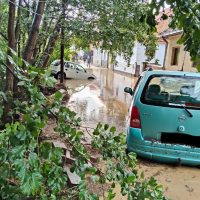 Urmările furtunilor de sâmbătă seara, din vestul României: Copaci rupți, curți inundate, gospodării fără curent (…)