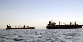 Ce vine cu Mercosur. Un cargo cu semințe de floarea soarelui din Argentina, dat la biodiesel în Bulgaria