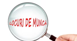 Care sunt cele mai căutate joburi în România și ce salarii se plătesc