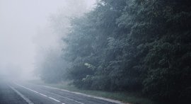 Noi alerte de vreme rea: cod galben de ceață în mai multe județe / Întreg teritoriul județelor Ialomița și Teleorman (…)