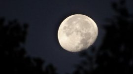 Dotările capsulei Orion. Cum arată „casa” astronauților care merg spre Lună