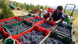 Prima mare reformă administrativă a Guvernului Bolojan. Zeci de instituții dispar din agricultură, sute de șefi își&nbsp;(…)