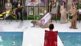 Panică în finala sezonului 4 „Casa Iubirii”! Veronica s-a prăbușit la pământ, după ce a fost desemnată marea&nbsp;(…)