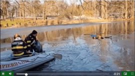Momente teribile în Parcul Nicolae Romanescu din Craiova: un copil a căzut în lac, tatăl fetiței a rămas blocat în&nbsp;(…)