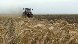 Impactul conflictului din Orientul Mijlociu asupra României: ce se întâmplă cu prețurile și producția agricolă
