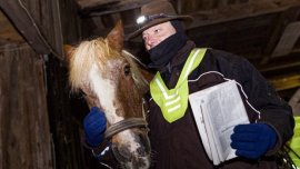 Un bărbat livrează ziarele pe zăpadă și gheață cu ajutorul unui cal care poartă o vestă reflectorizantă, în Germania