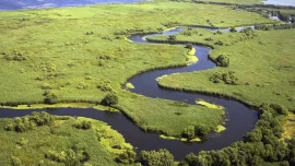 Încă un eșec pentru România: Delta Dunării a pierdut finanțări europene de aproape 50 de milioane de euro din PNRR
