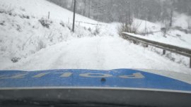 Haos pe șoselele din România din cauza ninsorii. Copaci căzuți pe carosabil și TIR-uri derapate în mai multe județe&nbsp;(…)