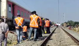 Șapte elefanți uciși pe o linie ferată de mare viteză în India. Cum a evitat mecanicul o tragedie și mai mare