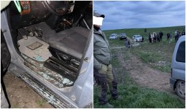 Scene violente în Timiș. Rangeri ai Parcului Național Lunca Mureșului, atacați și amenințați de hoții de lemne