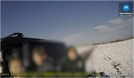 Cum arată curajul la 12 ani. Un băiat din Tulcea și-a salvat frații de câini agresivi, după ce a sunat la 112