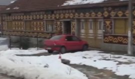 Femeie de 75 de ani, sfâșiată de propriul câine. Victima a fost găsită, fără viață, în curte