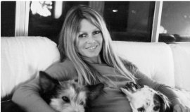 Brigitte Bardot a murit la vârsta de 91 de ani. Anunțul făcut de fundația care îi poartă numele