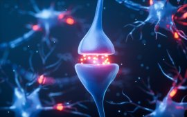 20 de lucruri uimitoare despre creierul uman