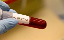 Virusul Zika în România, ultimele știri