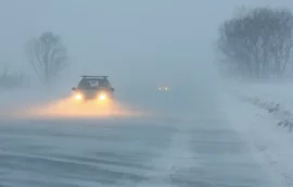 Peste 20.000 de gospodării din județul Prahova au rămas fără energie electrică, din cauza viscolului