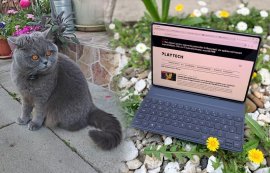 REVIEW HONOR MagicPad4 – cea mai subțire tabletă din lume ar putea fi și cea mai rapidă. Magia din spatele a 4,8&nbsp;(…)