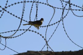 Proteste la un centru de detenție a imigranților din Texas unde se află un băiat de cinci ani și tatăl său