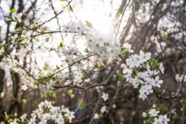 Ce se întâmplă în creier atunci când ziua devine cu doar 20 de minute mai lungă