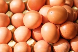 Test de cultură generală. Din ce este făcută coaja de ou?