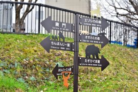 Un japonez și-ar fi ucis soția iar apoi ar fi incinerat-o la grădina zoologică unde lucrează