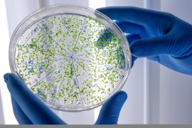 Probleme la Spitalul de Pediatrie din Ploiești! Bacteria Pseudomoas Aeruginosa a fost descoperită în apa furnizată