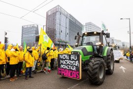 UE vrea protecții suplimentare pentru agricultură în contextul acordului Mercosur, pentru a-i apăra pe fermierii&nbsp;(…)