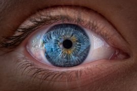 Un nou studiu arată că ochiul focalizează folosind și semnale de culoare, nu doar claritatea