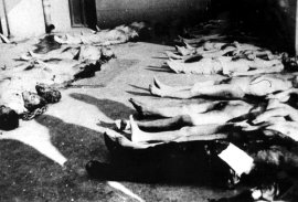 Holocaustul din România nu este o problemă a evreilor sau a romilor, ci a întregii societăți românești (OPINIE)