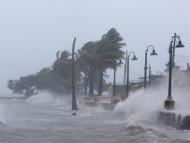 Uraganul Irma, ultimele știri